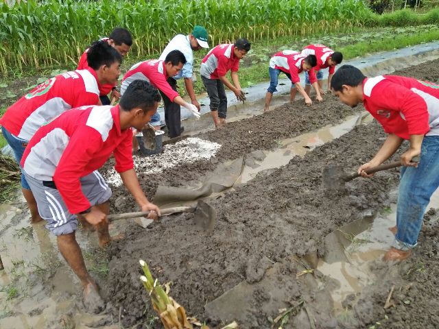 Warga Desa Lukit Siap Terapkan Cara Bertani di Lahan Tanpa Bakar
